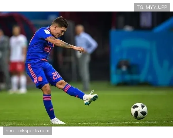 南美杯赛事最新声明与官方回应